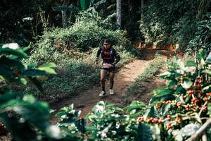 BIB: 
                            <button type="button" onclick="openModal(25856907)" class="btn btn-primary btn-sm float-right btn-popup" data-toggle="modal" data-target=".modal-high-quality">
                        <i class="fas fa-shopping-cart"></i> Add to Cart
                    </button>
                                            <button type="button" onclick="isThisMe(25856907, true)" class="btn btn-success btn-sm float-right btn-popup btn-isme hidden" data-toggle="tooltip" data-placement="bottom" title="นี่คือรูปของคุณใช่ไหม คลิกที่นี่เพื่อเอาเข้าอัลบั้ม">
                        <i class="fas fa-plus"></i> Add to album
                    </button>
                    <button type="button" onclick="isThisMe(25856907, false)" class="btn btn-warning btn-sm float-right btn-popup btn-isnotme hidden">
                        <i class="fas fa-ban"></i> Remove from album
                    </button>